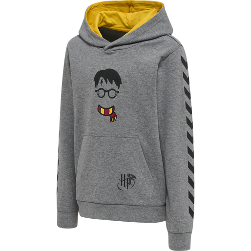 hmlHARRY POTTER CUATRO HOODIE, MEDIUM MELANGE, packshot