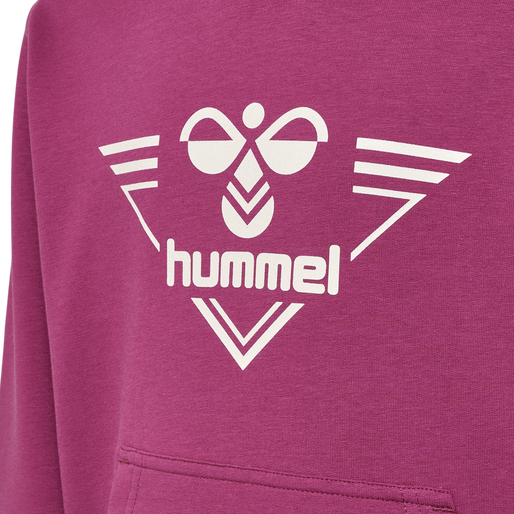 hmlGAIL HOODIE, DRY ROSE, packshot