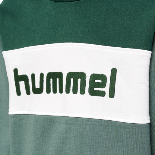 hmlMORTEN HOODIE, 6041, packshot