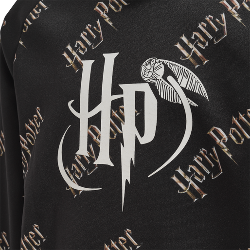 hmlHARRY POTTER HOODIE, BLACK, packshot