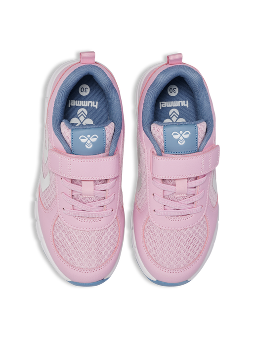 SPEED JR, WINSOME ORCHID, packshot