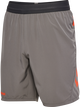 STEEL GRAY