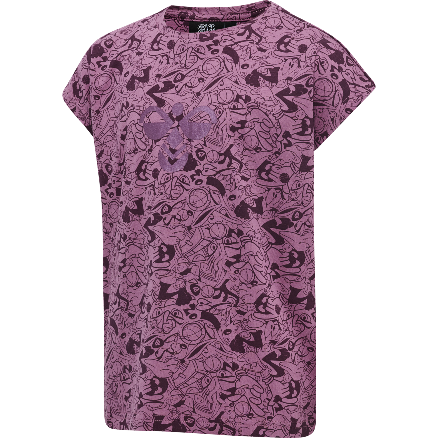 hmlSPACE JAM DIEZ T-SHIRT S/S, BORDEAUX, packshot