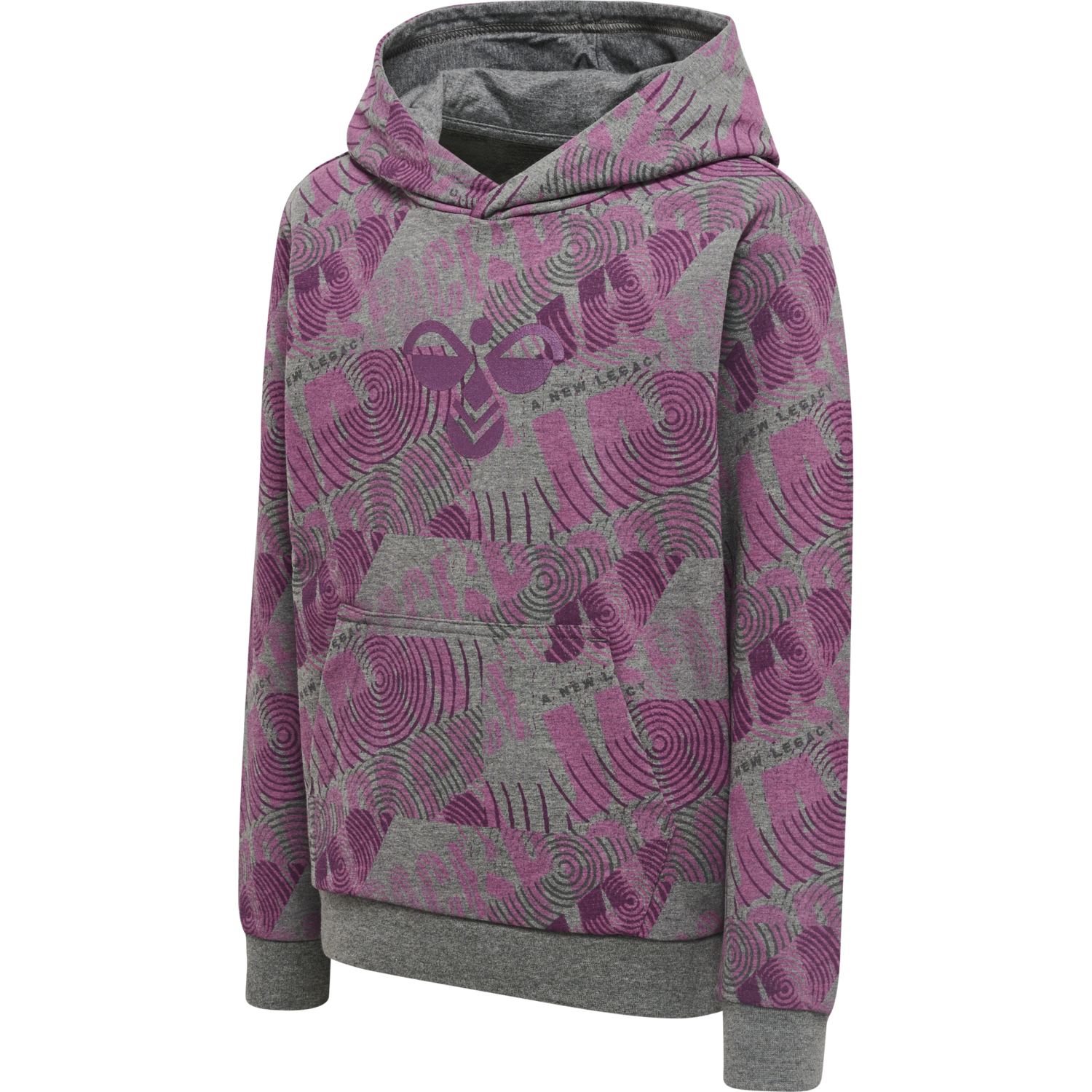 hmlSPACE JAM CUATRO HOODIE, AMARANTH, packshot