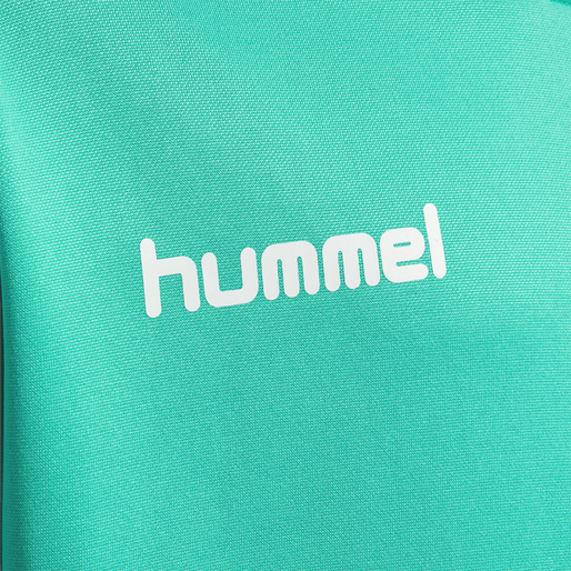hmlPROMO KIDS POLY HOODIE, ATLANTIS, packshot