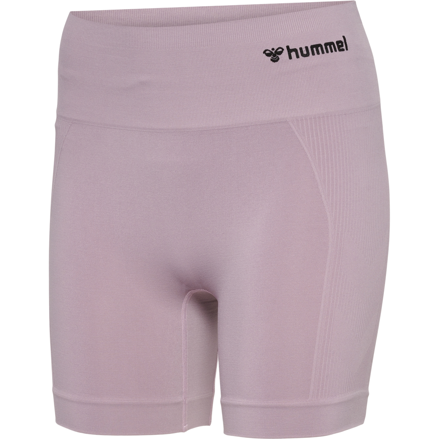 hmlTIF SEAMLESS SHORTS, NIRVANA, packshot