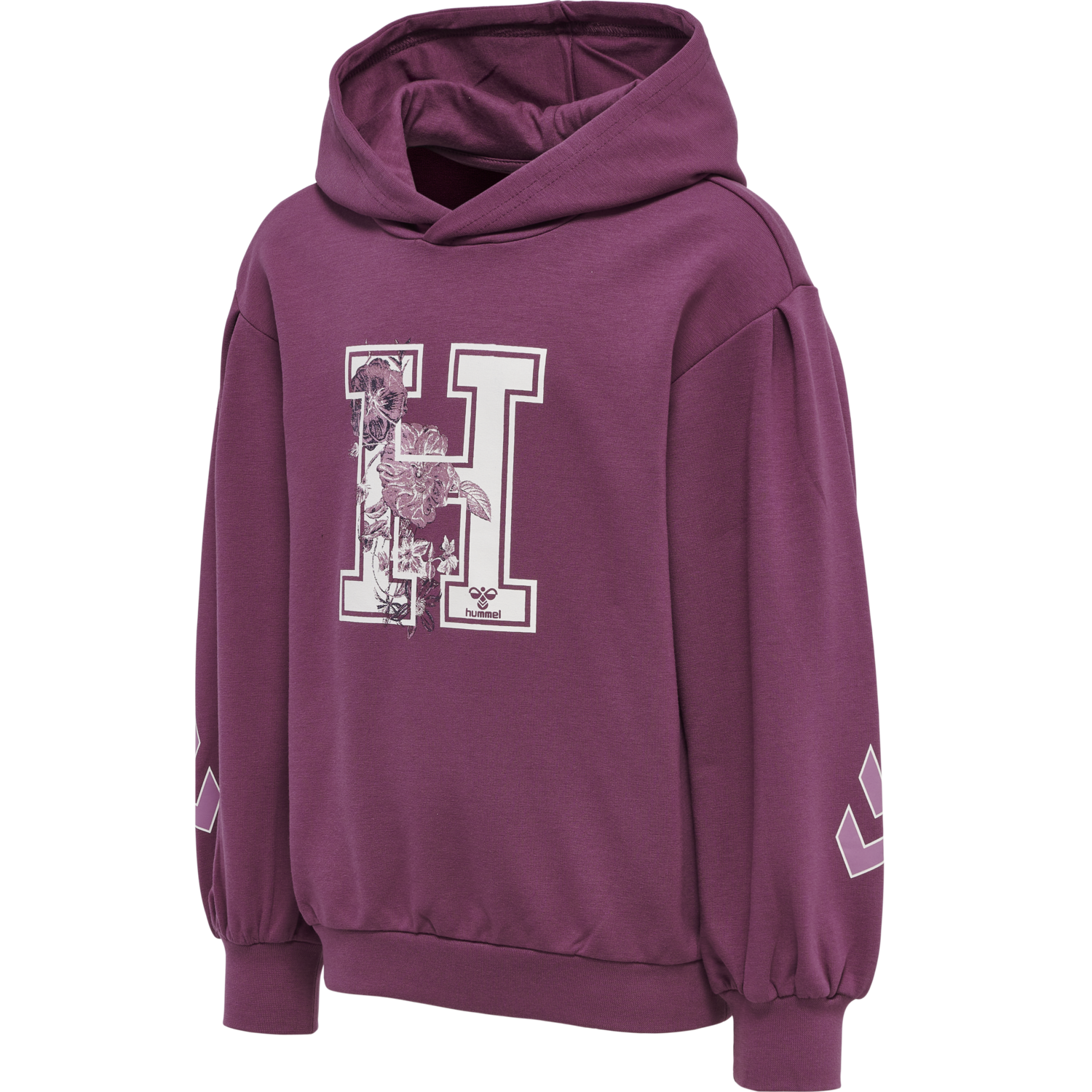 hmlASTROLOGY HOODIE, 4758, packshot