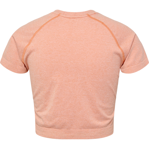 hmlCI SEAMLESS CROPPED T-SHIRT, CANYON SUNSET MELANGE, packshot