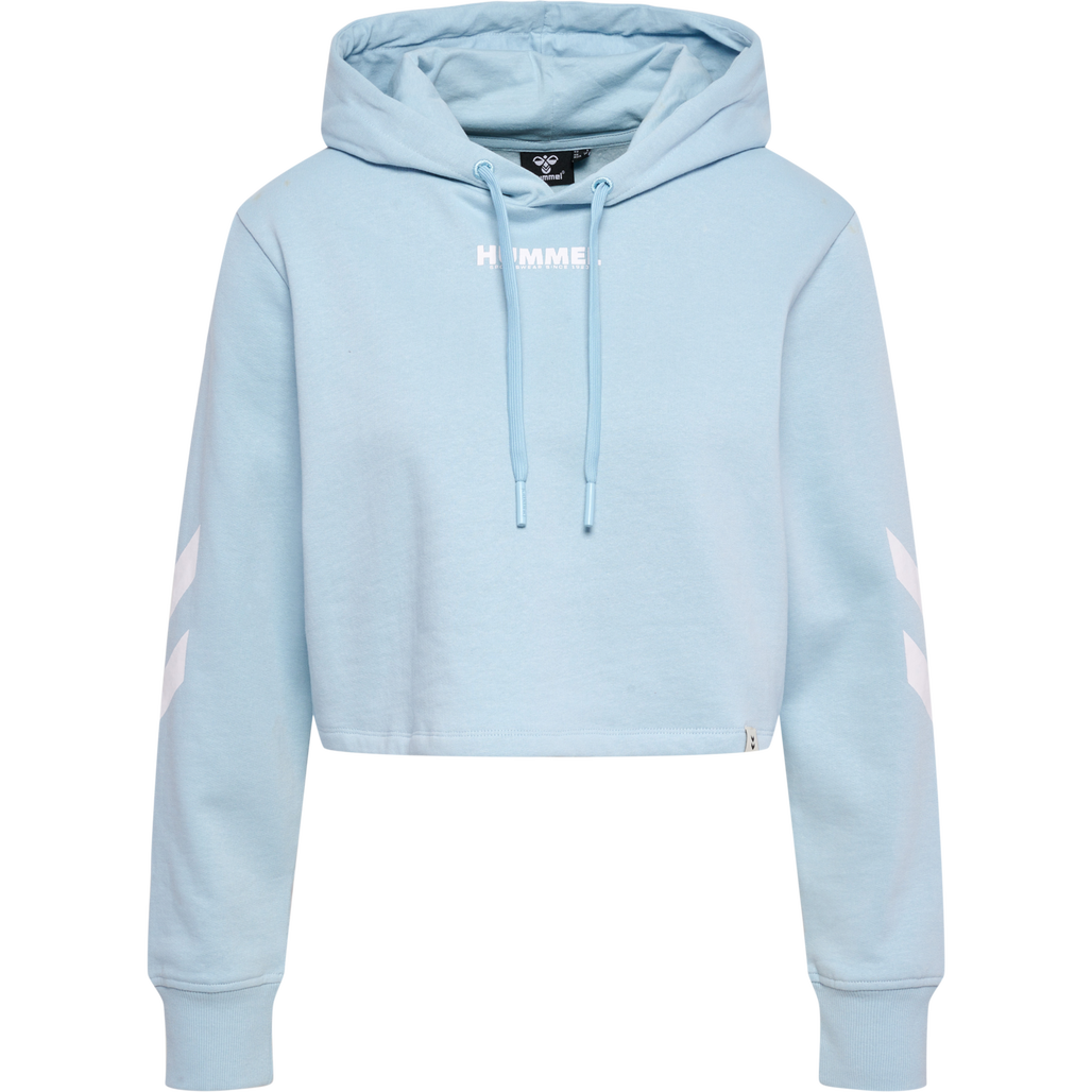 Light blue cropped hoodie hotsell