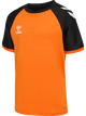 ORANGE TIGER/BLACK