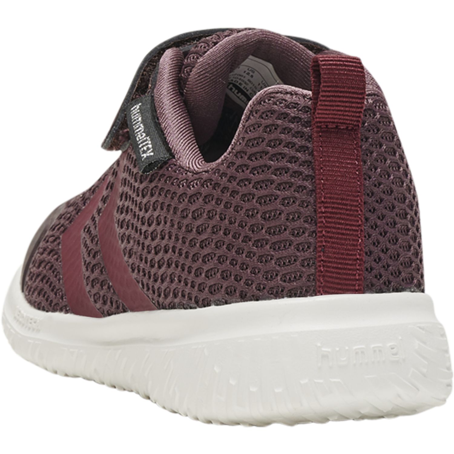 ACTUS TEX JR, FUDGE, packshot