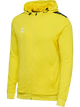 BLAZING YELLOW