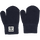 BLACK IRIS