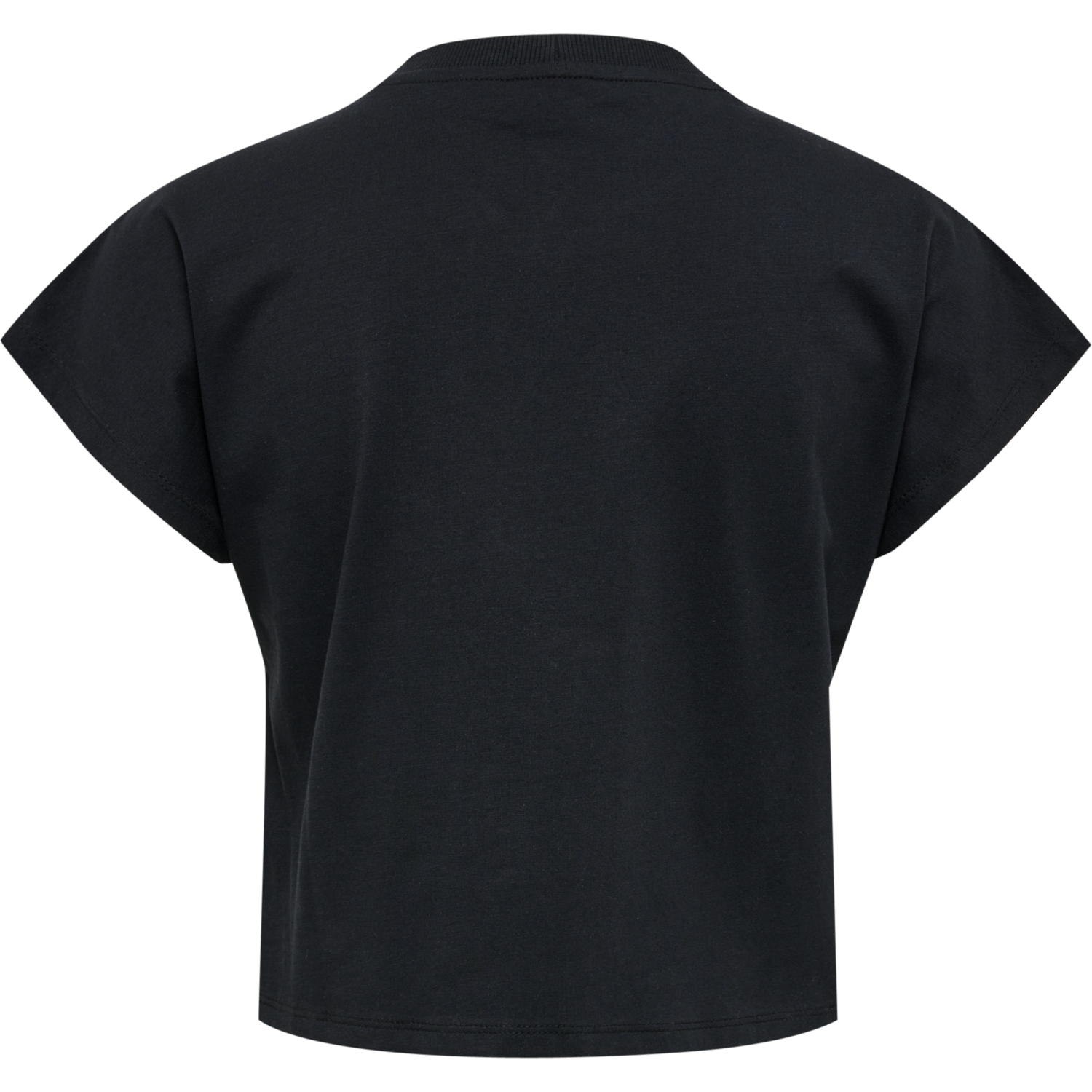 hmlLGC JUNE CROPPED T-SHIRT, 2001, packshot