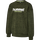 OLIVE NIGHT