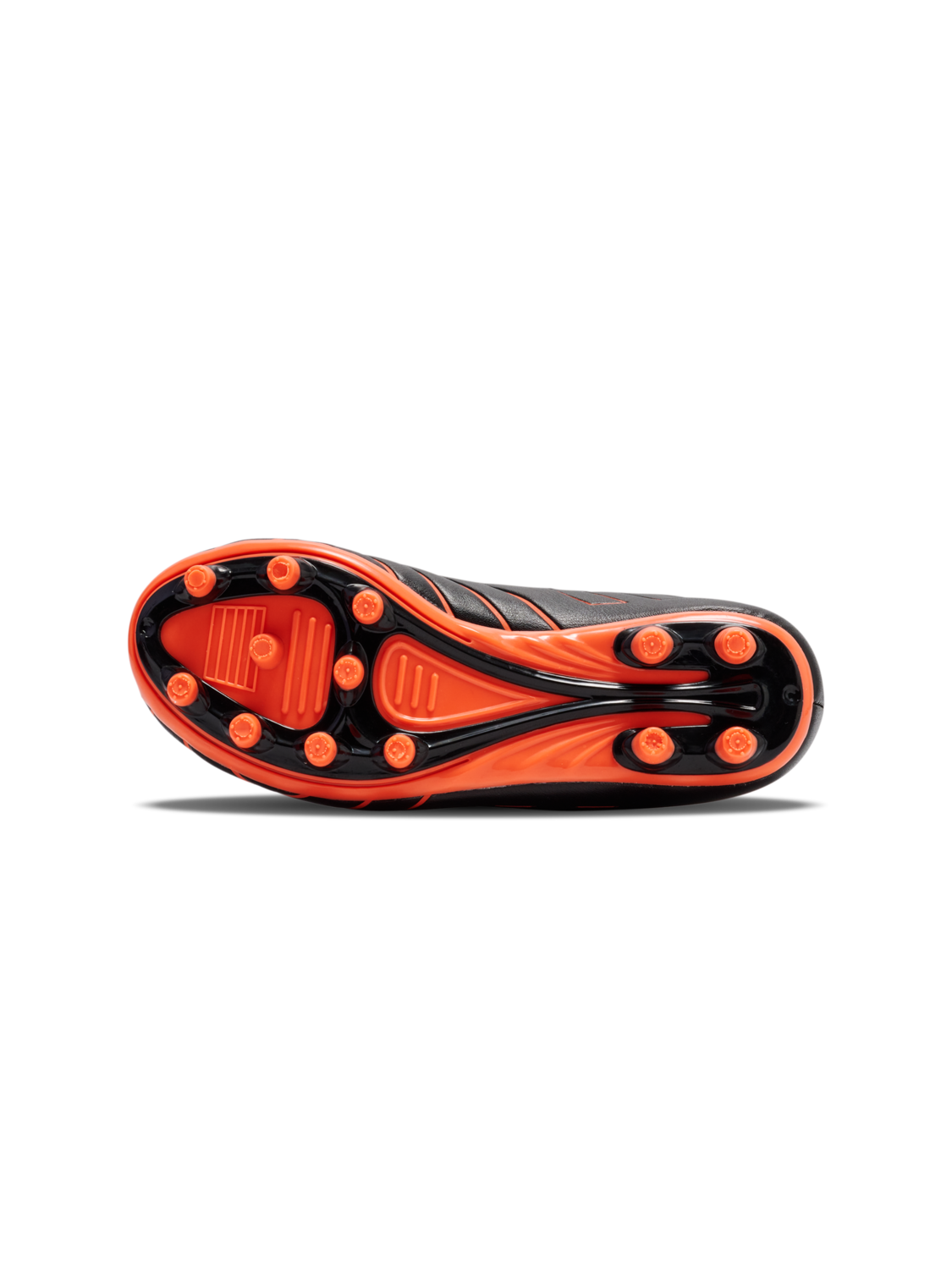 TOP STAR F.G. LC JR, NASTURTIUM, packshot