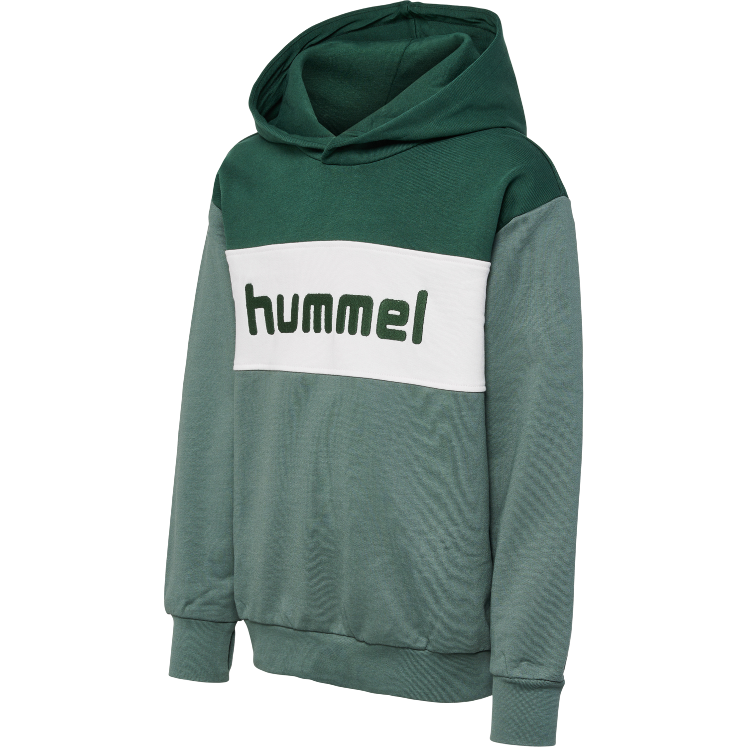 hmlMORTEN HOODIE, 6041, packshot