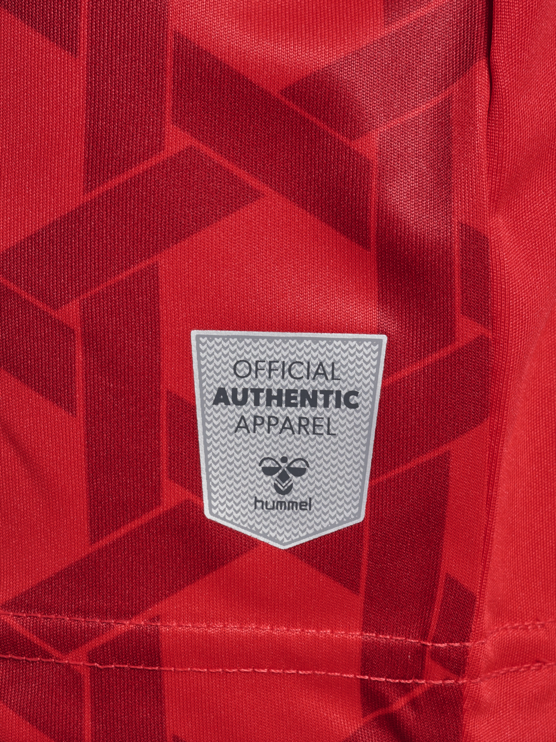 WER 23/24 GK JERSEY S/S KIDS, TRUE RED, packshot