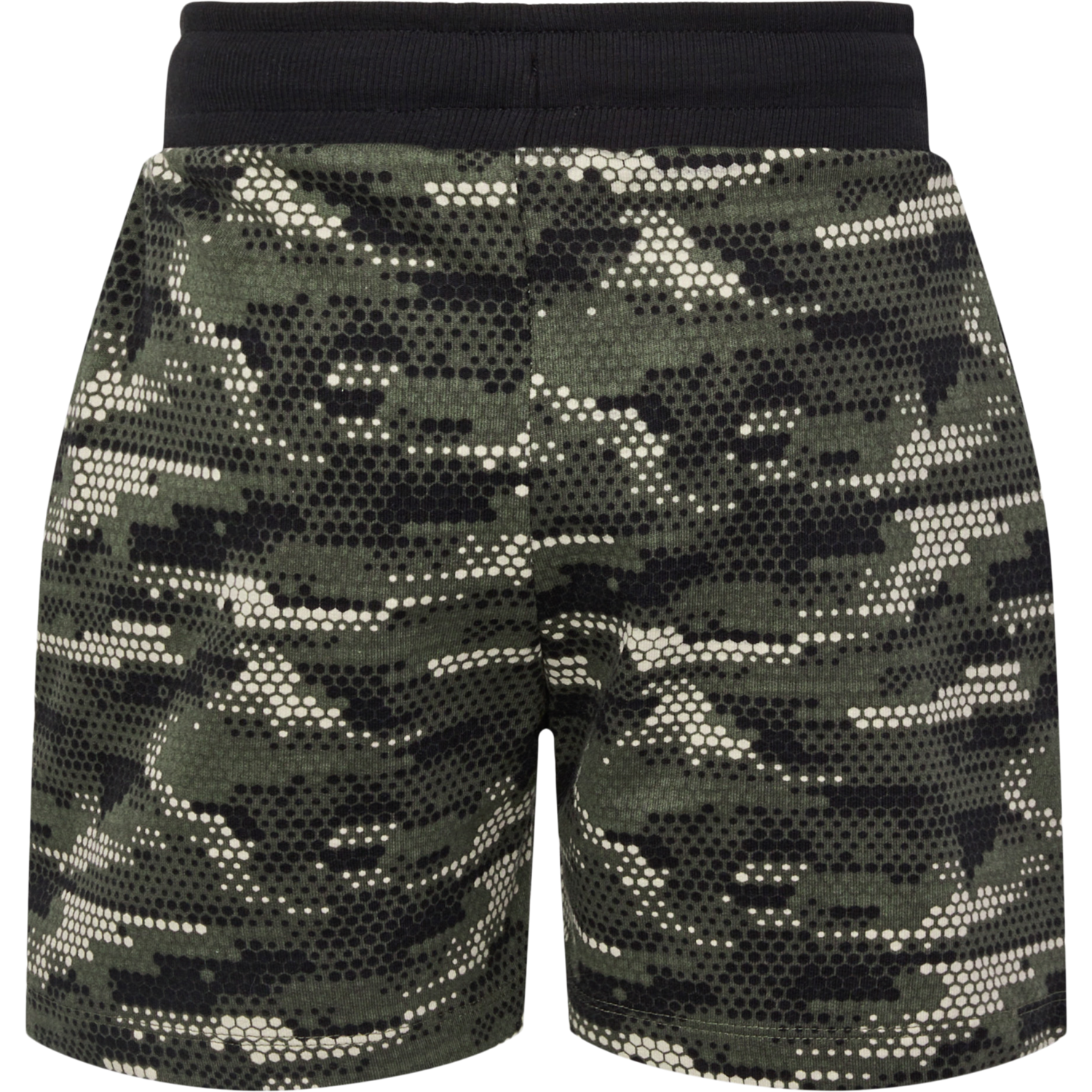 hmlFSK GO SHORTS, FOREST NIGHT, packshot