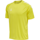 BLAZING YELLOW