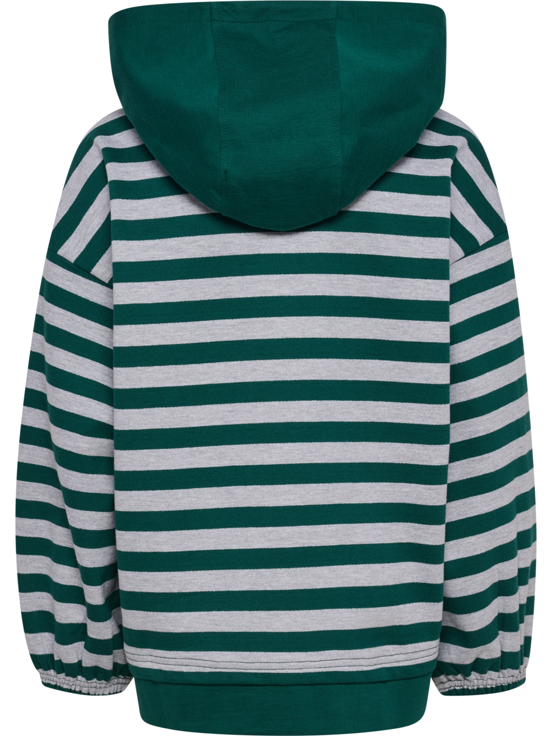 hmlJR CONELLY BOXY CONTRAST HOODIE, FOREST BIOME, packshot
