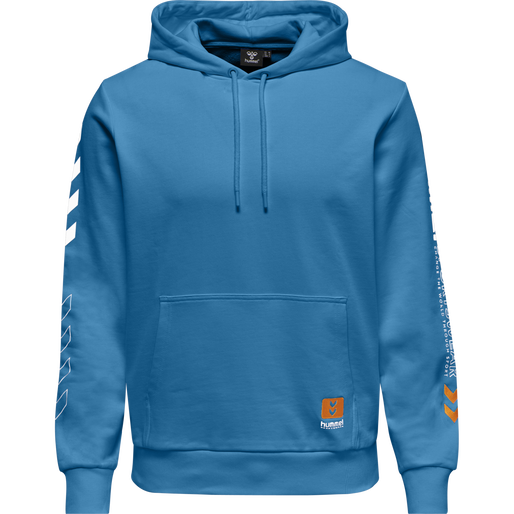 hmlLGC BIRK HOODIE, 7042, packshot