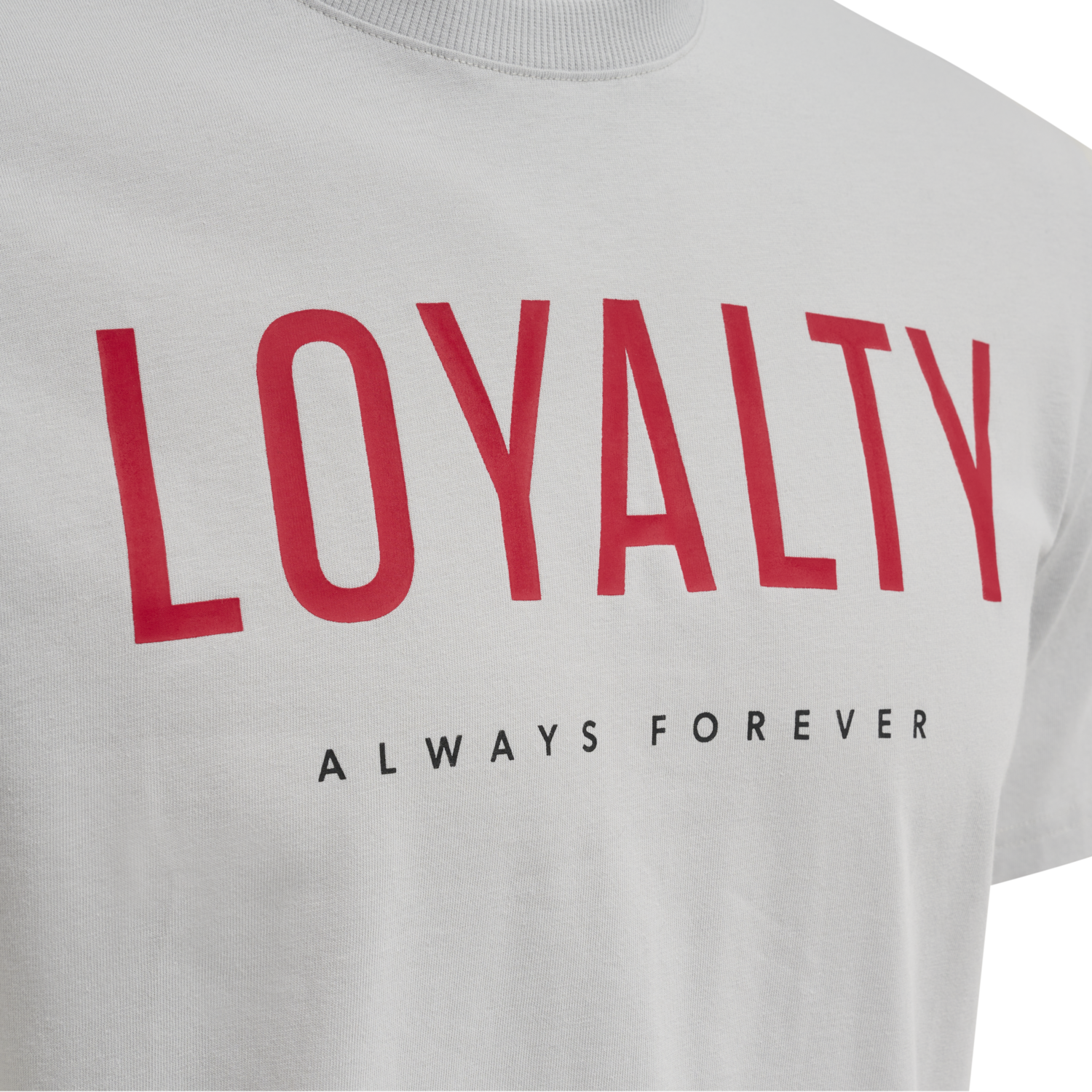 hmlLGC LOYALTY T-SHIRT, HARBOR MIST, packshot