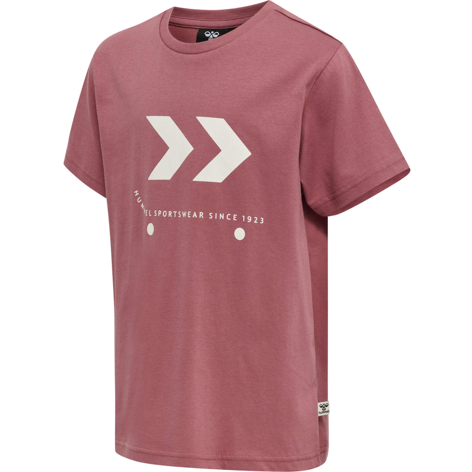 hmlSKATE T-SHIRT S/S, 4338, packshot