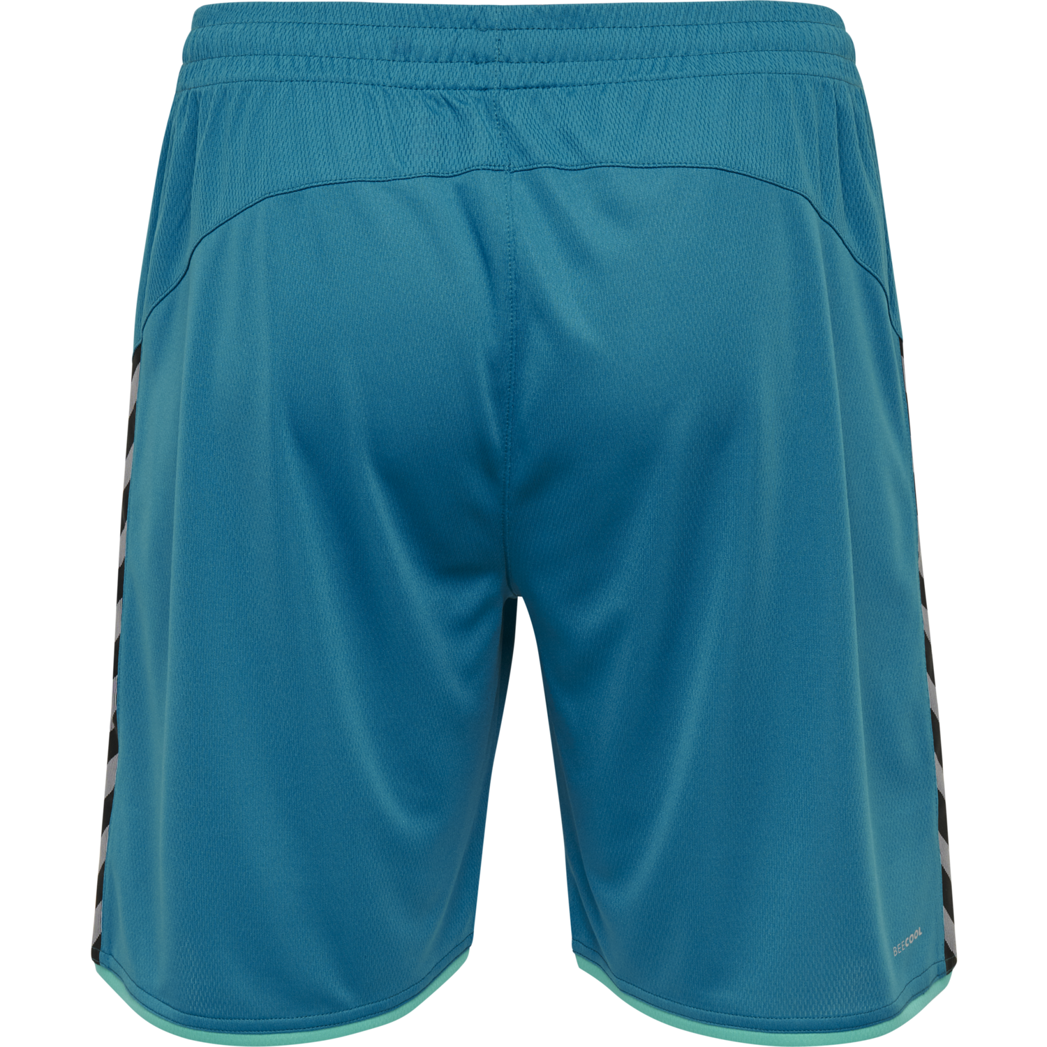 hmlAUTHENTIC POLY SHORTS, CELESTIAL, packshot