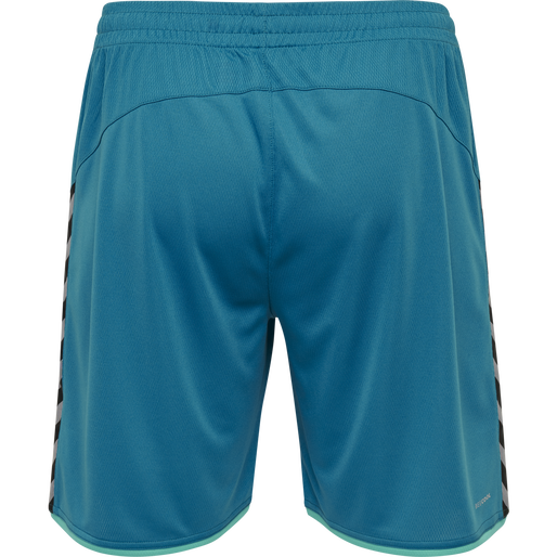 hmlAUTHENTIC POLY SHORTS, CELESTIAL, packshot