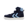 BLACK IRIS