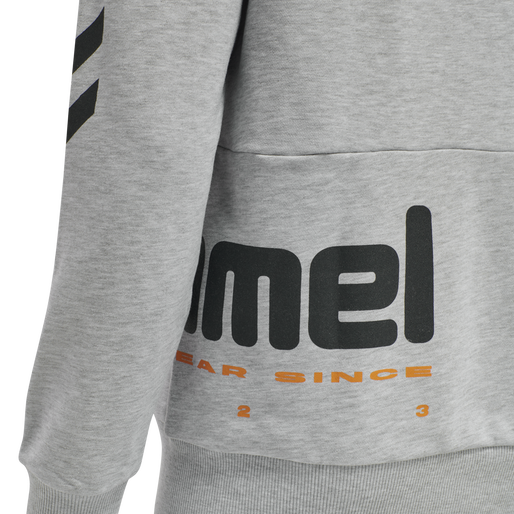 hmlLGC MANFRED HOODIE, 2010, packshot