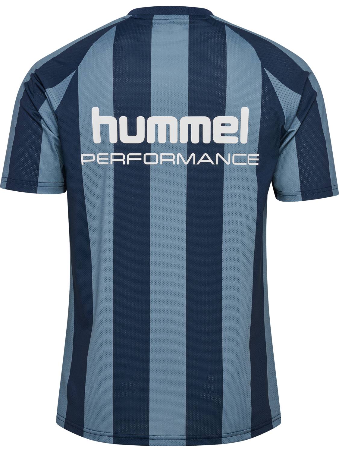 hmlPULSE MESH T-SHIRT S/S, BLUE MIRAGE/DRESS BLUE, packshot