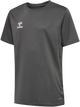 STEEL GRAY