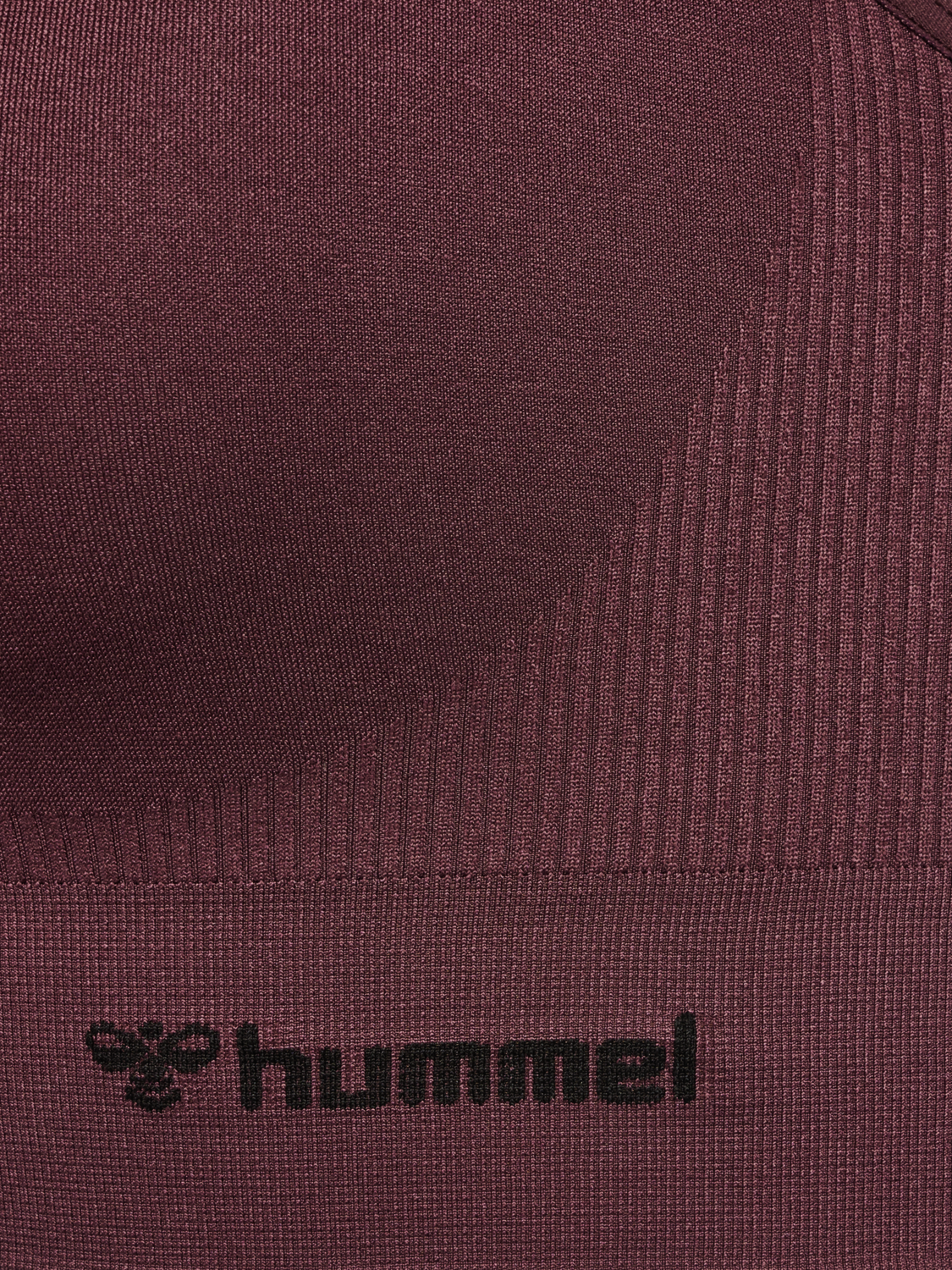 hmlTIF SEAMLESS SPORTS TOP, FUDGE, packshot