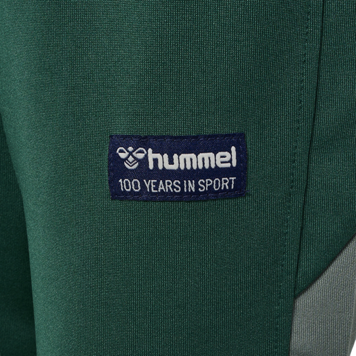hmlRUPHUS PANTS, PINENEEDLE, packshot