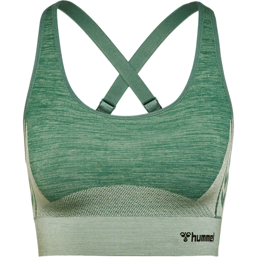 hmlCLEA SEAMLESS  SPORTS TOP, LAUREL WREATH/LILY PAD MELANGE, packshot