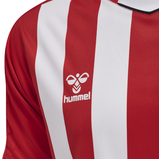 hmlCORE XK STRIPED JERSEY S/S, TRUE RED/WHITE, packshot