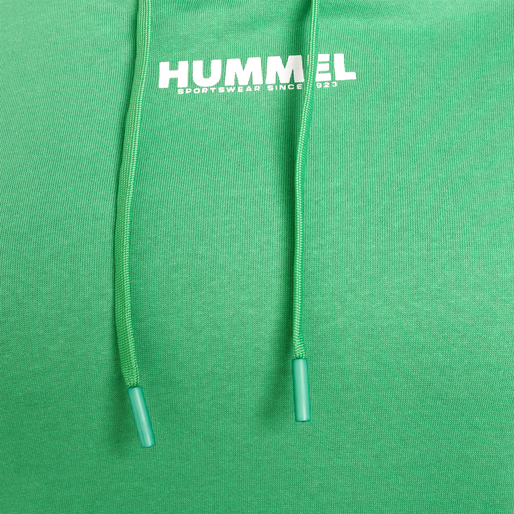 hmlLEGACY WOMAN HOODIE PLUS, GREEN SPRUCE, packshot