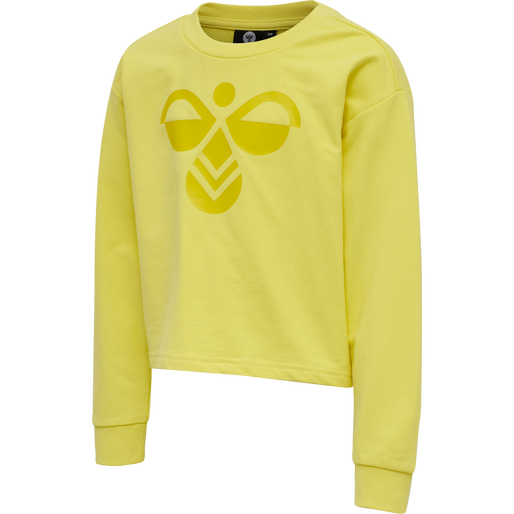 hmlCINCO SWEATSHIRT, CELANDINE, packshot