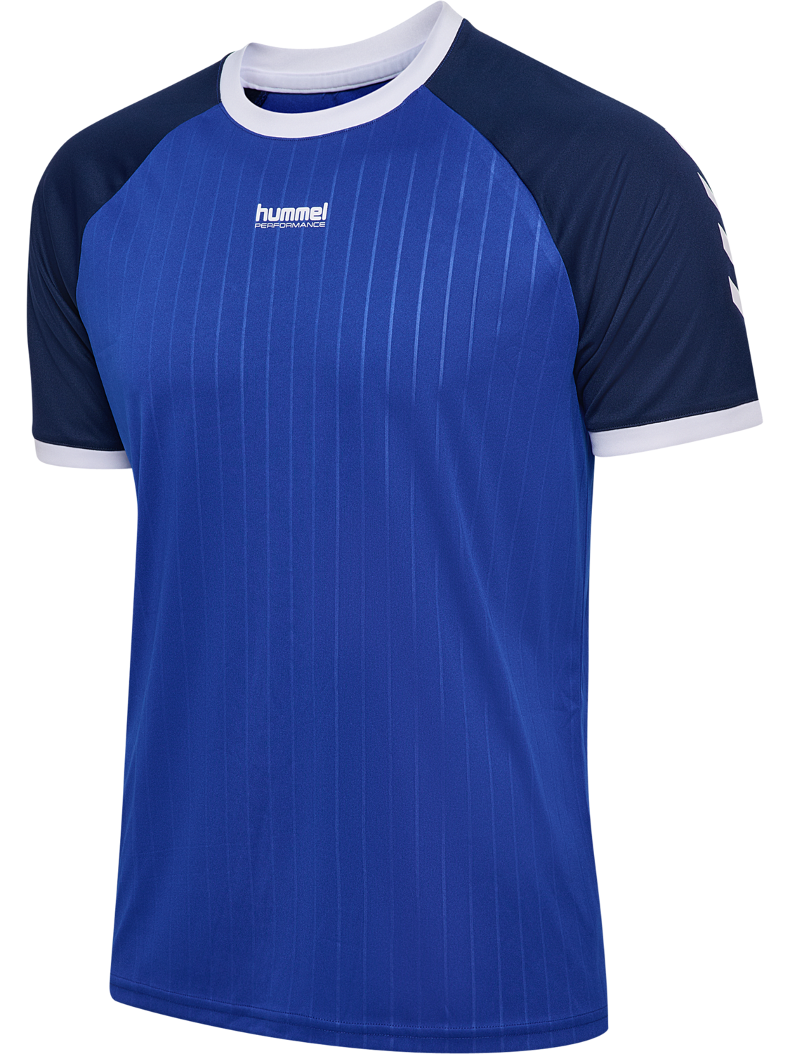 hmlPULSE STRIPE T-SHIRT S/S, SURF THE WEB, packshot