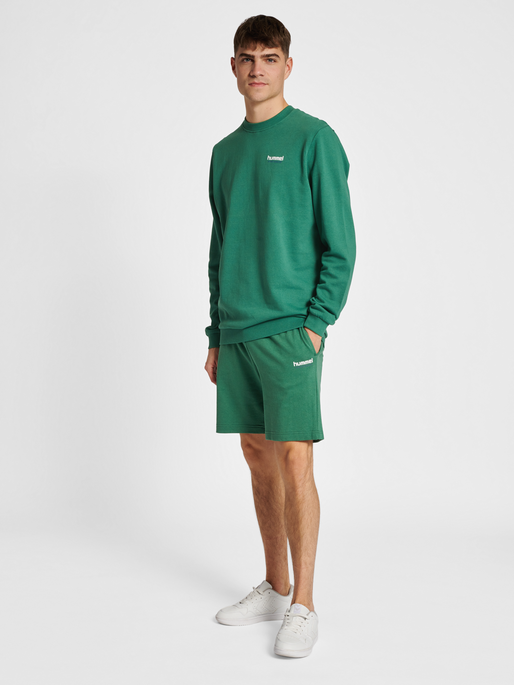 hmlLGC GABE SWEATSHIRT, FOLIAGE GREEN, model