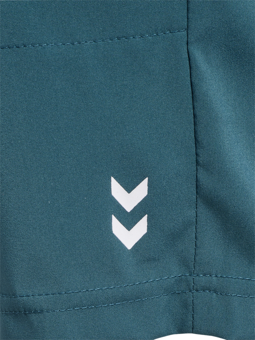 hmlPULSE WORKOUT SHORTS, STARGAZER, packshot
