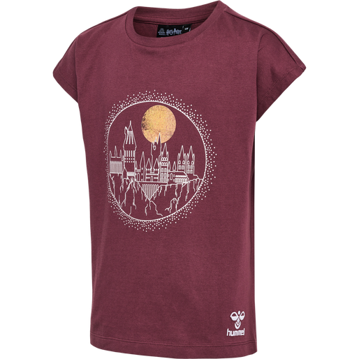hmlHARRY POTTER T-SHIRT, 3679, packshot