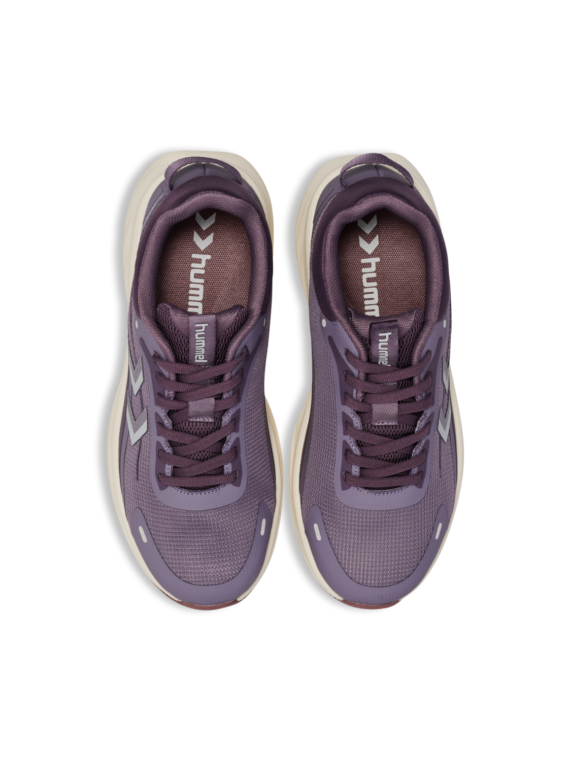FOCUS 8000, GRAY RIDGE, packshot