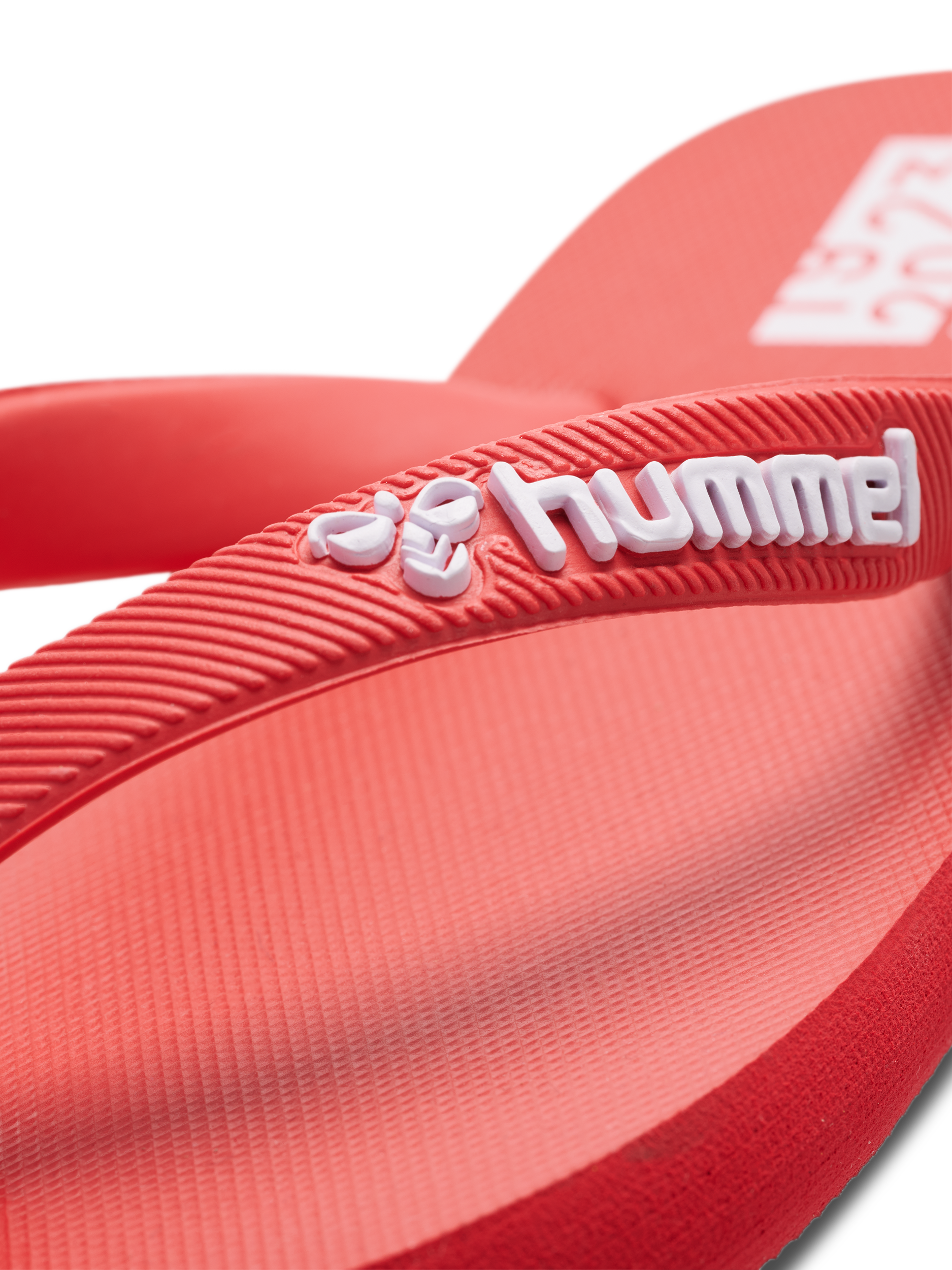 FLIP FLOP JR, BITTERSWEET, packshot