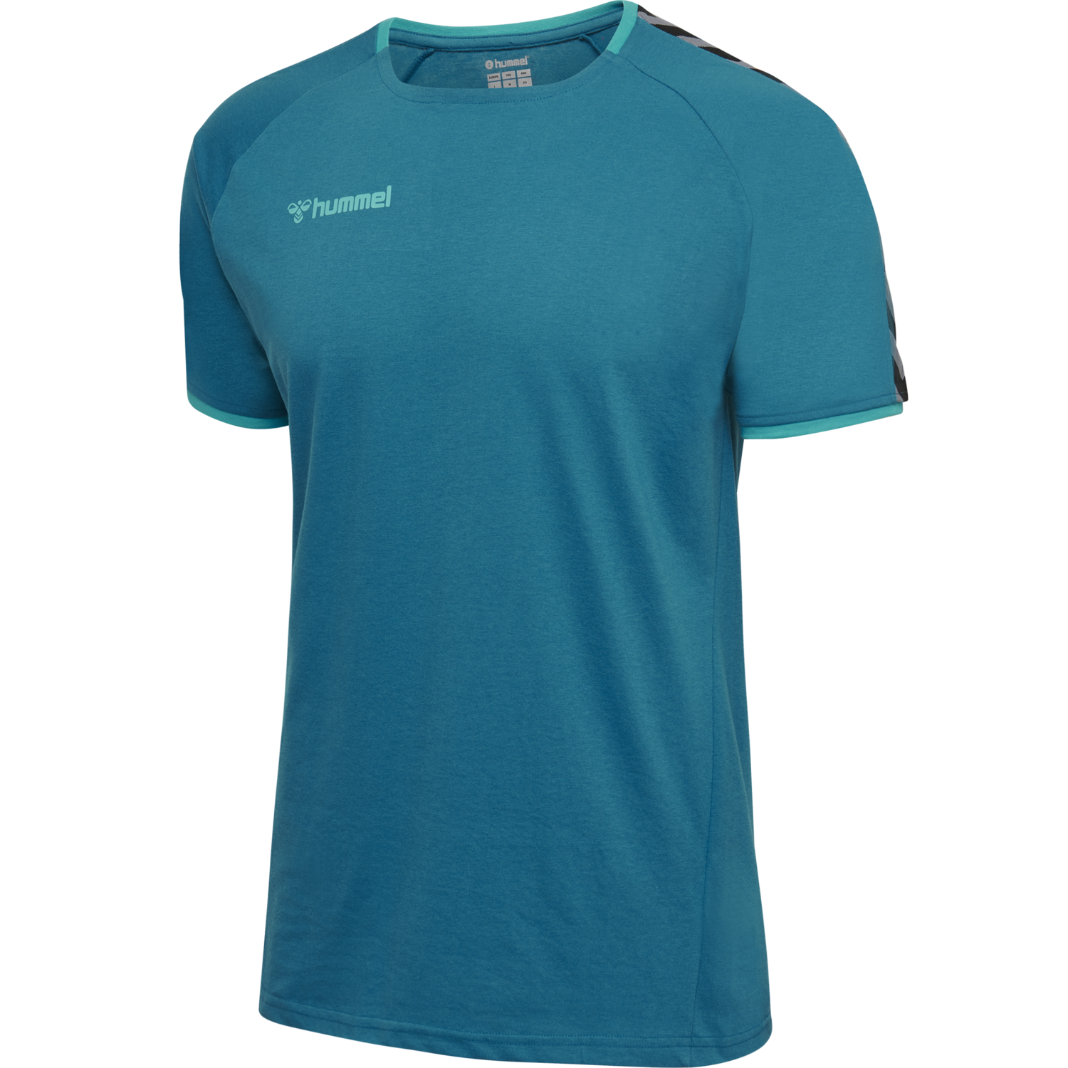 hmlAUTHENTIC KIDS TRAINING TEE, CELESTIAL, packshot