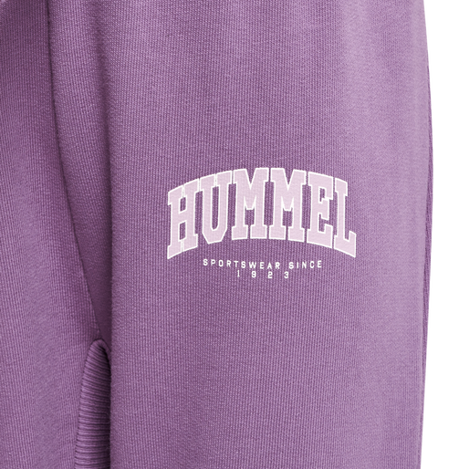 hmlFAST APPLE PANTS, ARGYLE PURPLE, packshot