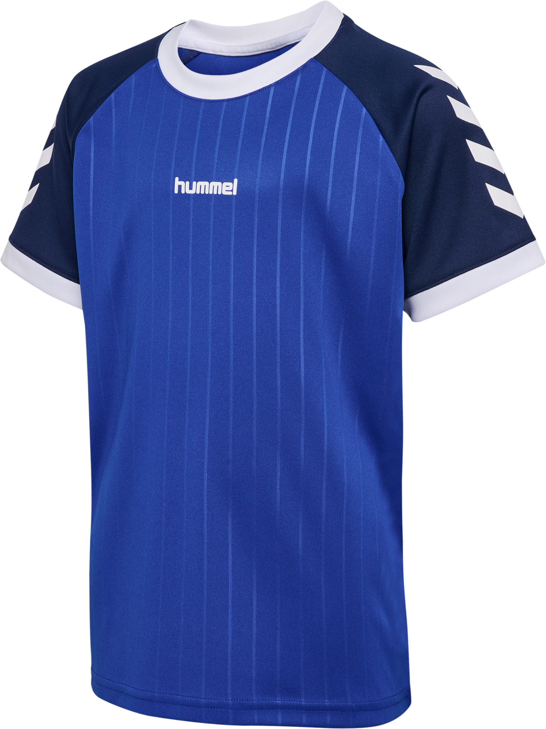 hmlJR STRIPE T-SHIRT S/S, SURF THE WEB, packshot