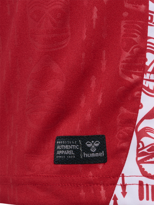 GREENLAND 25 HOME JERSEY S/S, SCOOTER GREENLAND 25 HOME JERSEY S/S, SCOOTER, packshot